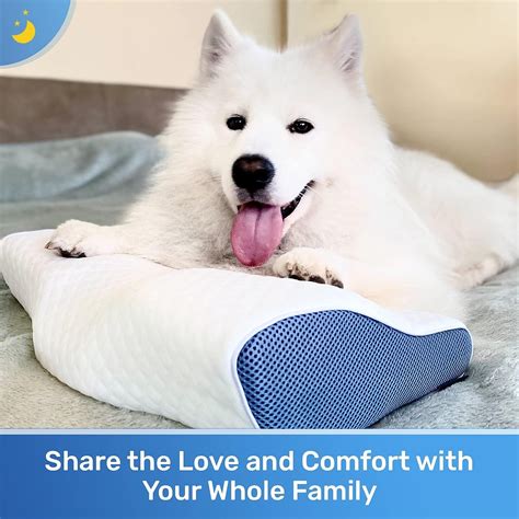 Derila Pillow Review: The Verdict .